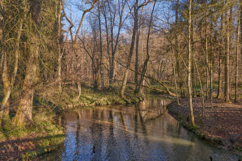 Gemeinde Eggenfelden Landkreis Rottal-Inn Gern Lichtlberger Wald (Dirschl Johann) Deutschland PAN